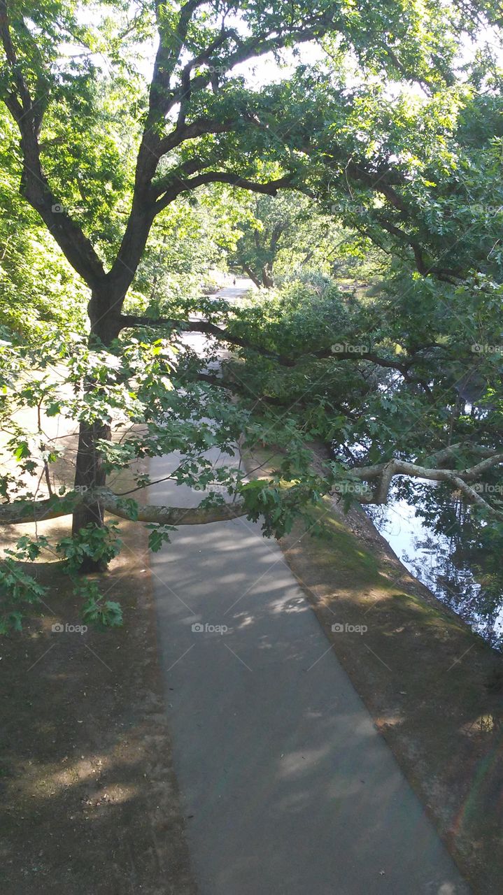 spring. water. simple