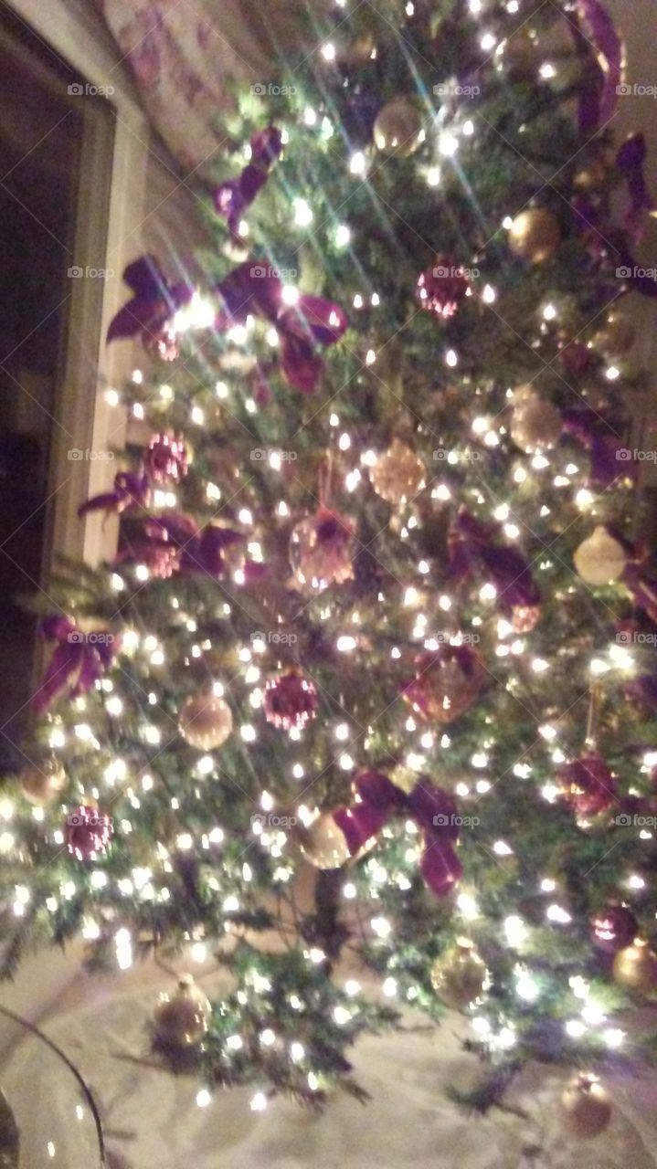 illuminated Christmas tree