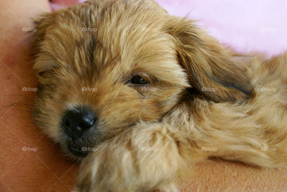 girl people woman face by somebeach