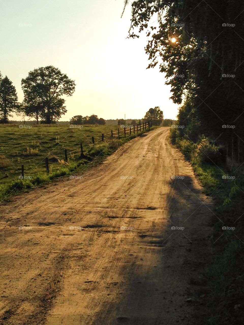 View of footpath during sunset