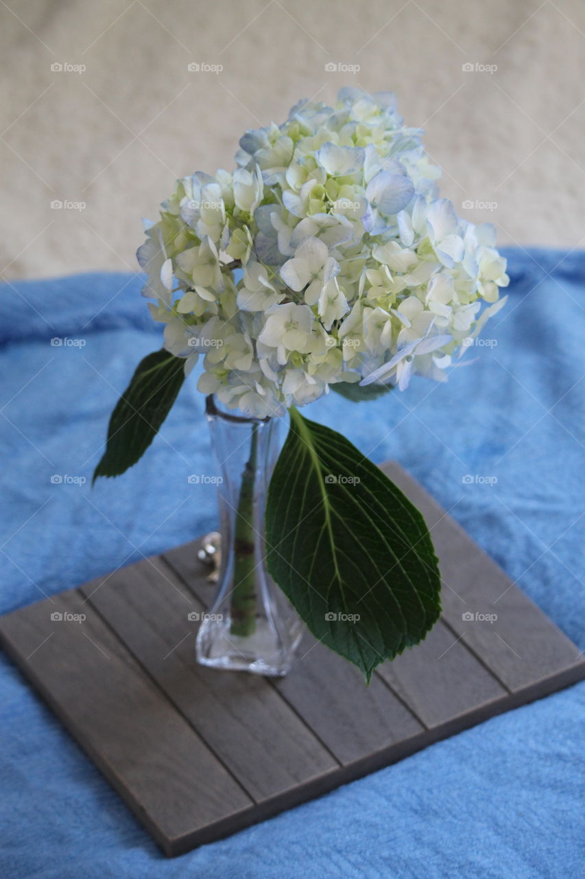 hydrangeas in a vase on a blue background - wedding centerpiece decor