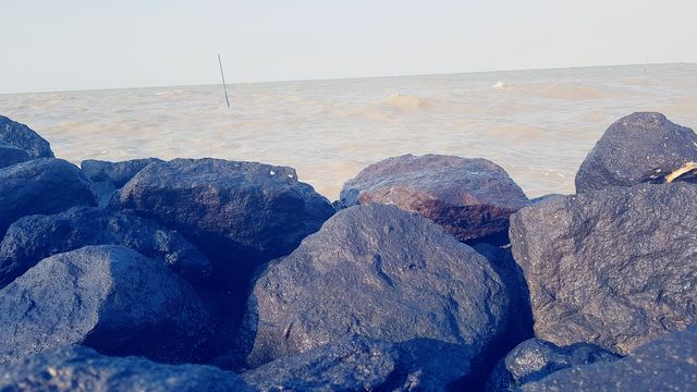 ngintip laut