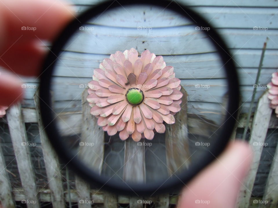 Flower decoration through and closeup filter