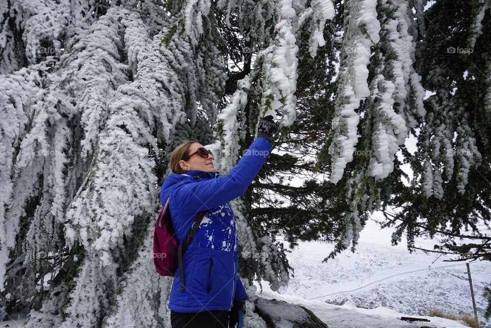 Winter#snow#nature#tree#human