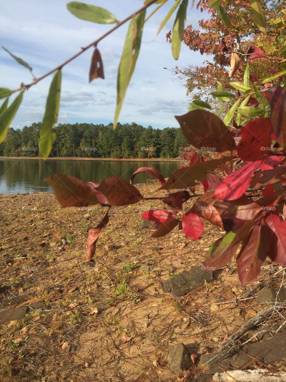 Fall Day at the Lake