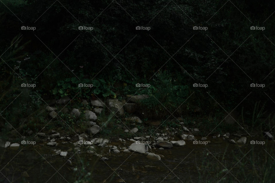 river in the carpathians