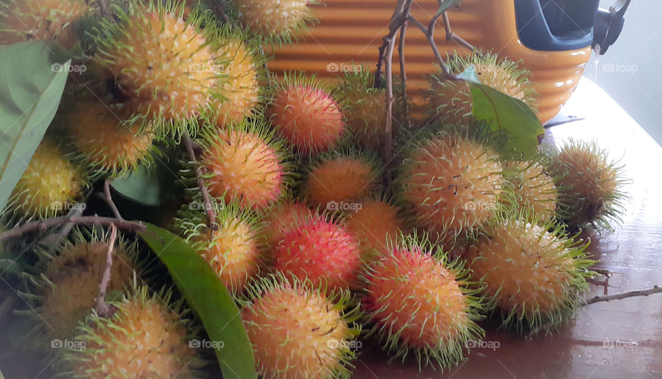 Rambutan fruit of Malaysia