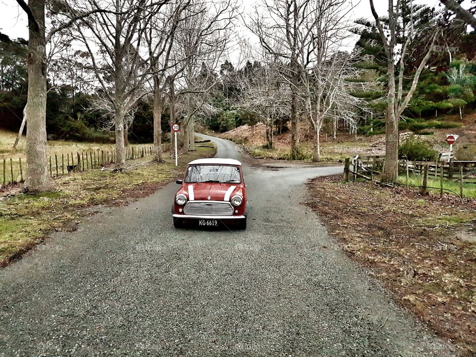 Austin Mini in the Park