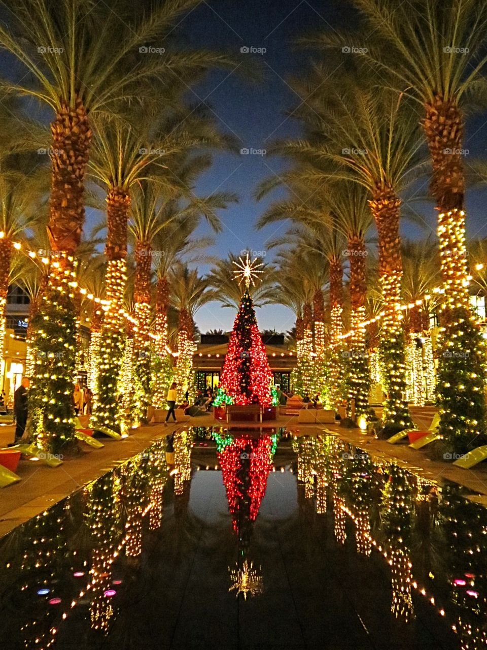 Dazzling Holiday Lights.