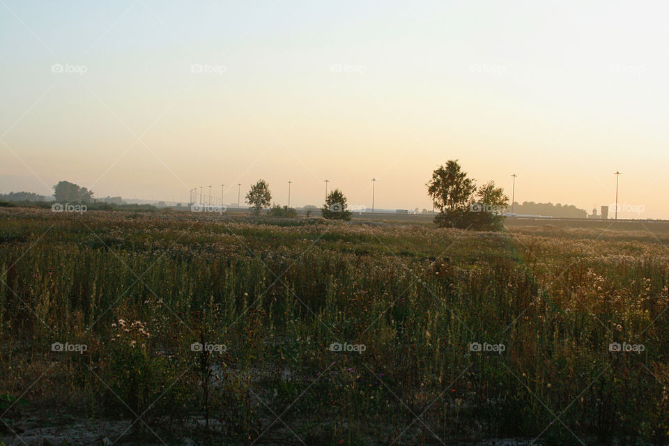 Countryside, sunset 