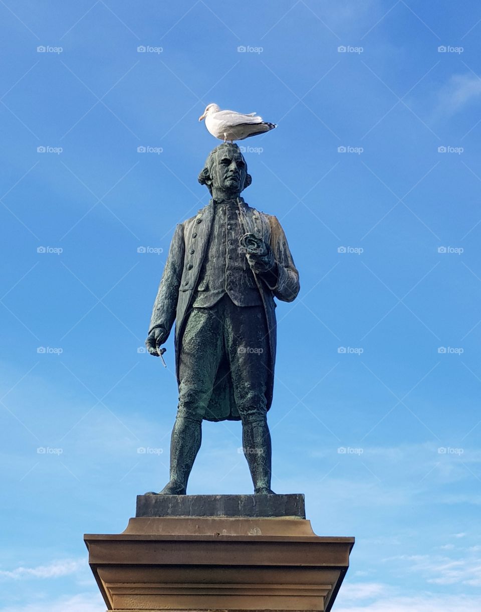 captain james cook