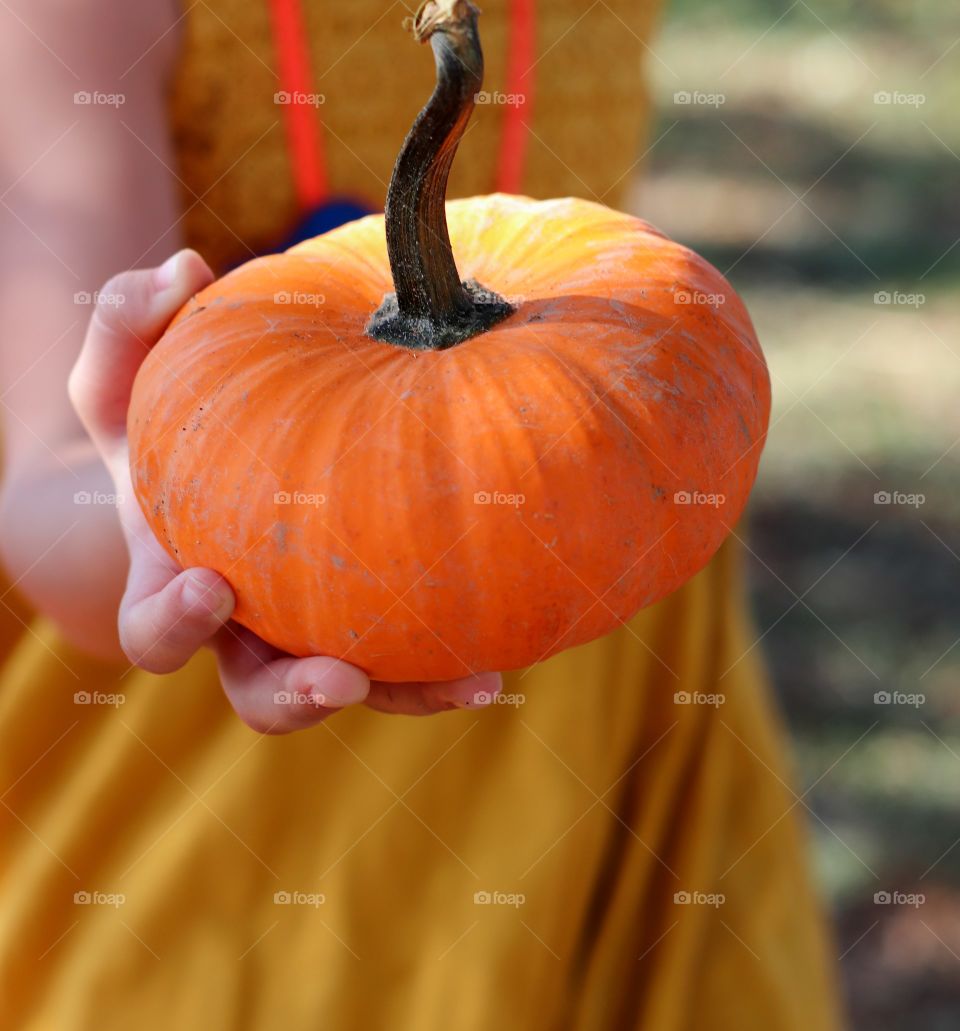 It's a pumpkin season