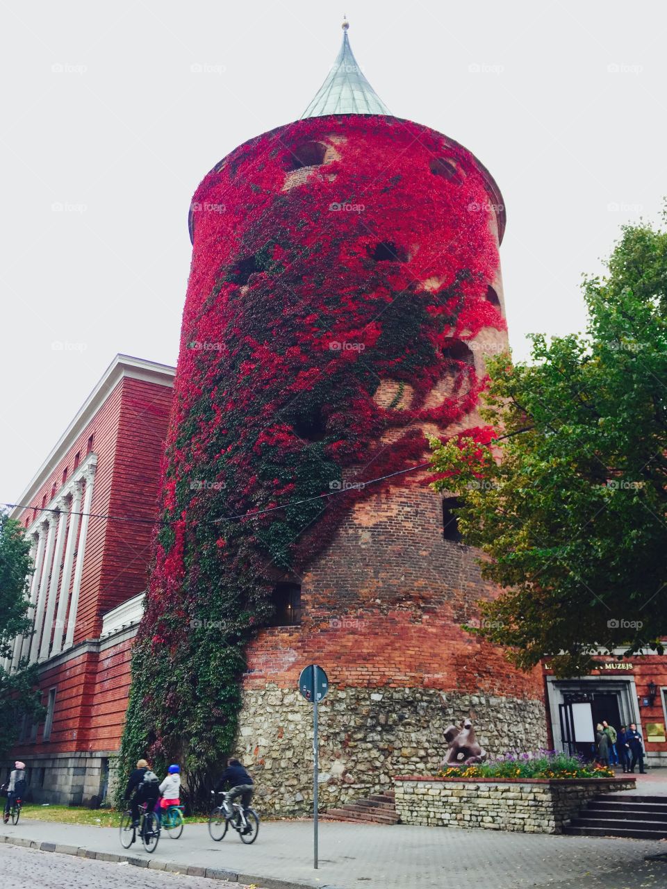 Old building with beautiful red flower 