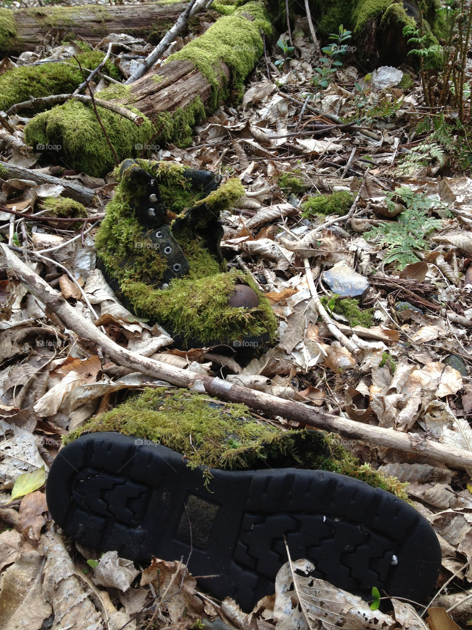 moss boots old boots forest floor by kim.huish1