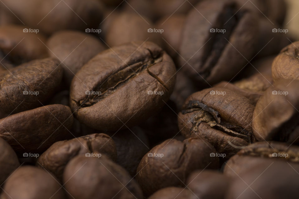 macro shot of a coffee bean.  details and texture.