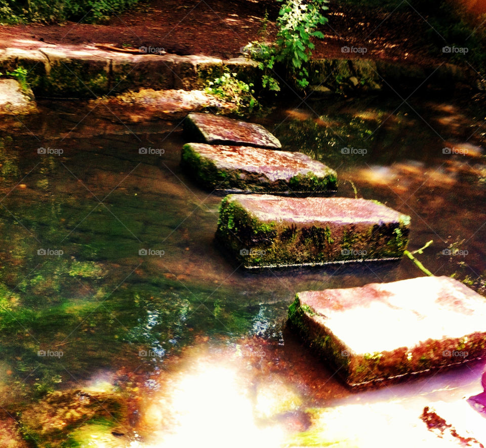 nature water lake shadows by binkyboo