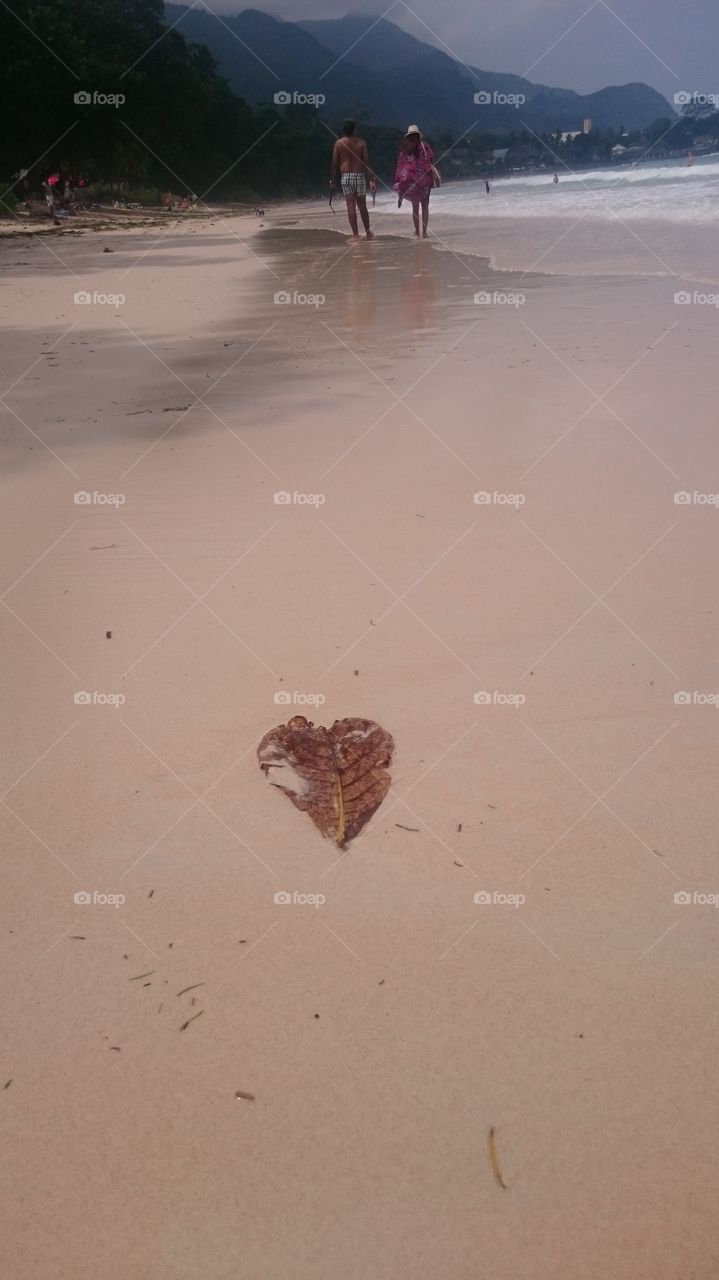 Beach, Sand, Water, Seashore, No Person