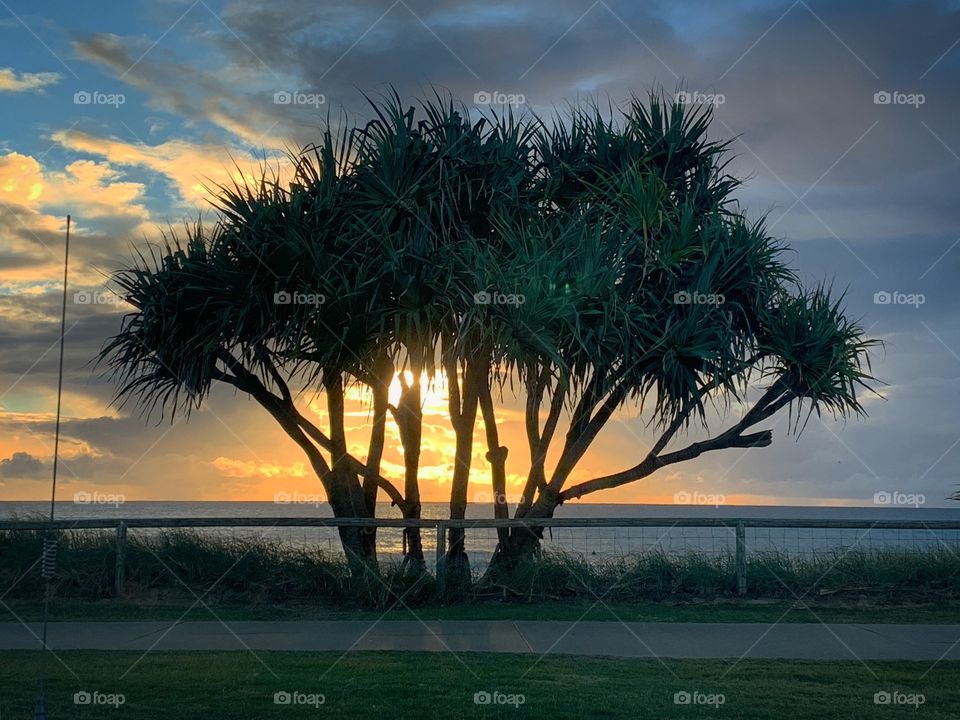 A Gold Coast sunrise