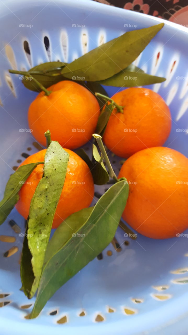 marrocan orange