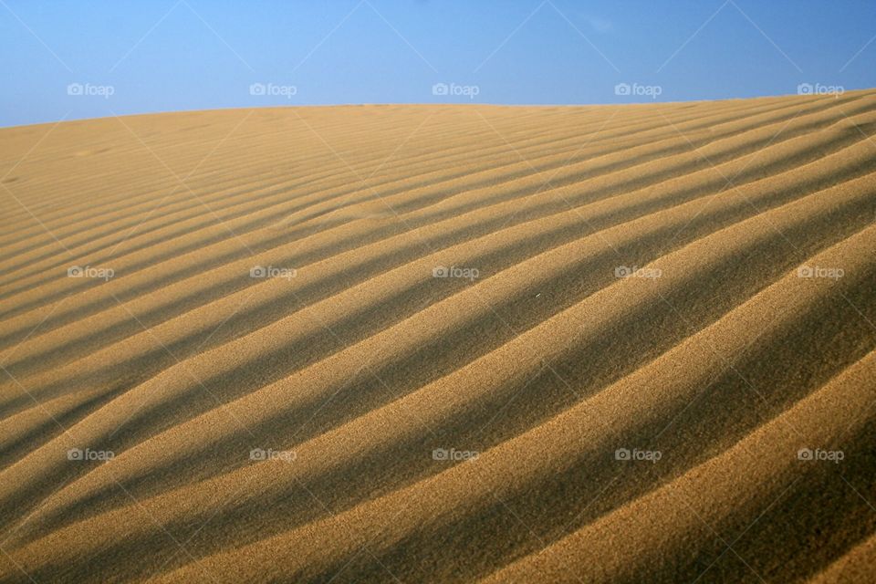 Sand dune ripples
