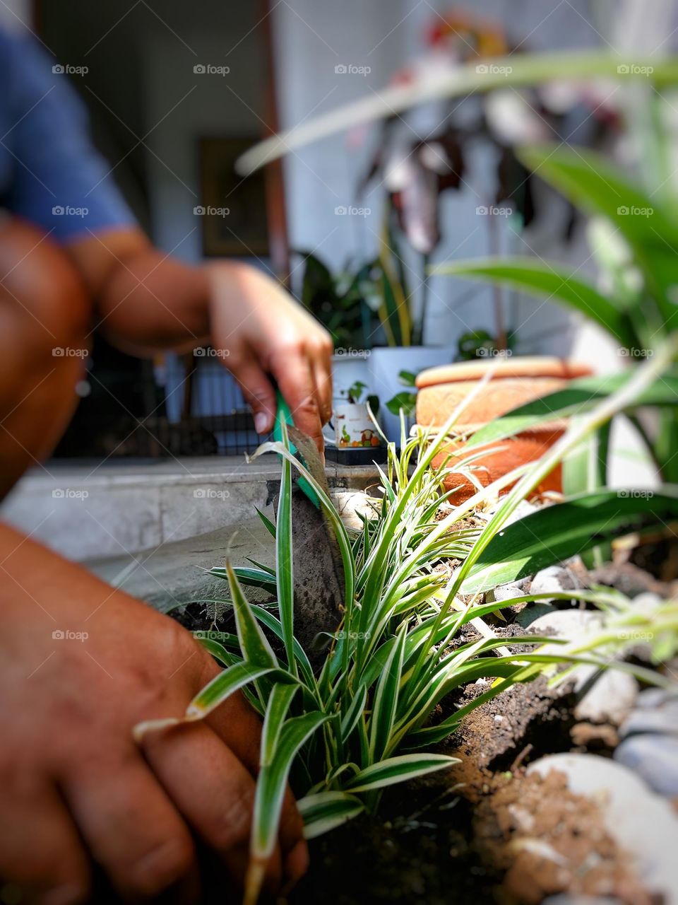 Its All about Nature.