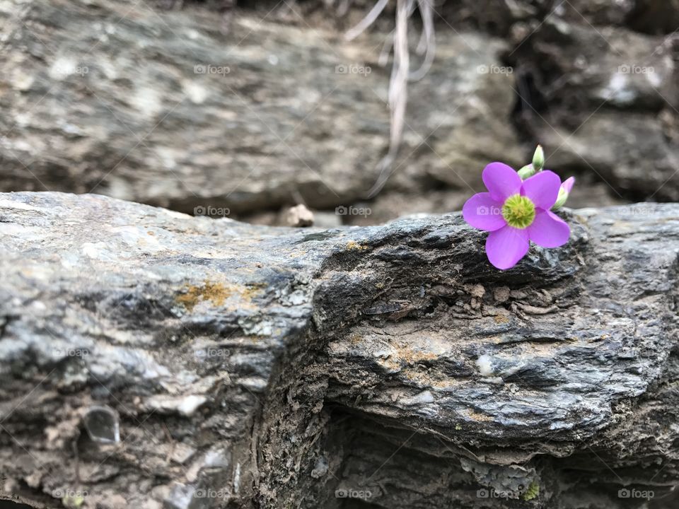 Mini Flower with stones 