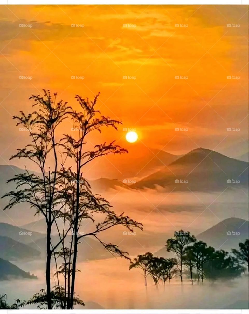 A very beautiful picture, and there is no better picture than it. There is no better picture of green herbs and colorful, red and white roses than it. Glory be to God, the natural and picturesque view, and there is no more