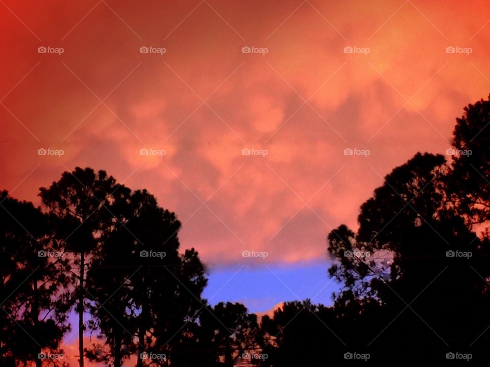 Sky at the golden hour. Sky at the golden hour
