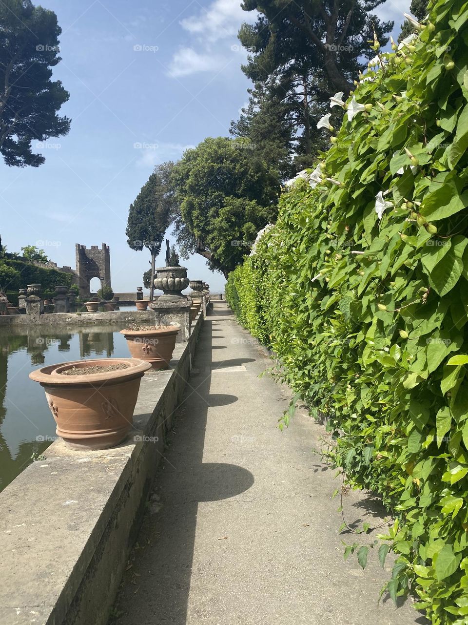 Tivoli Gardens, Italy - Green nature