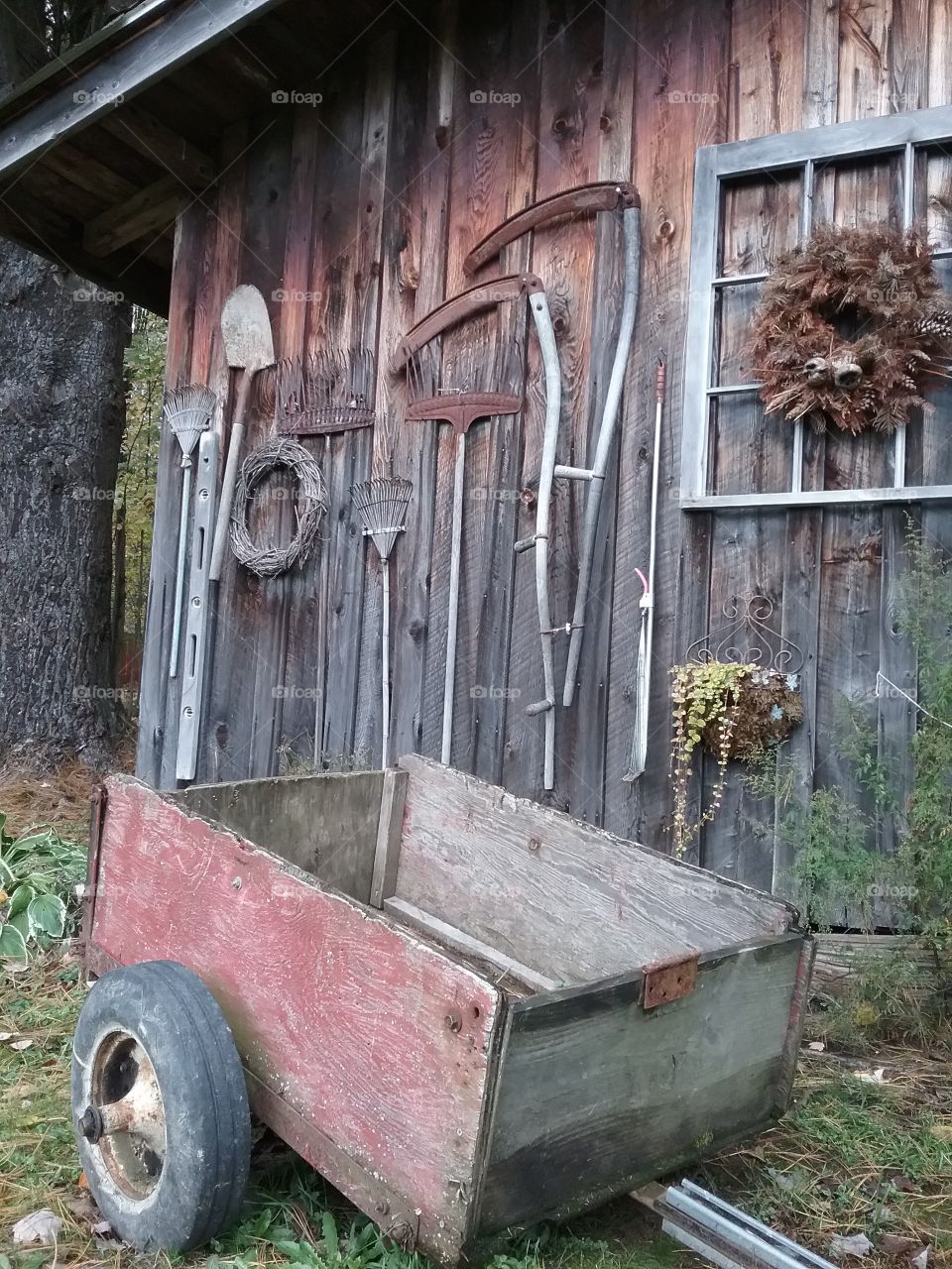 The shed in Autumn