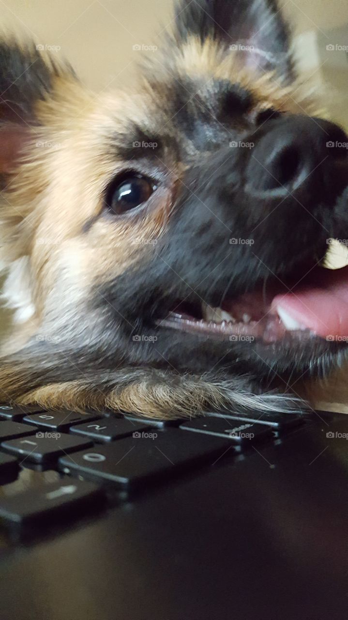 My personal assistant