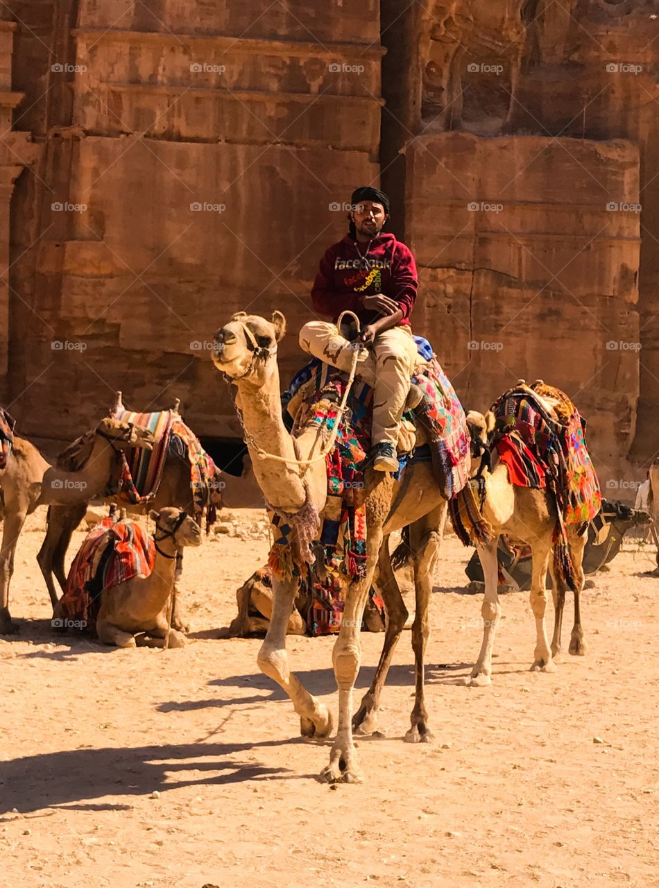 Man riding on camel