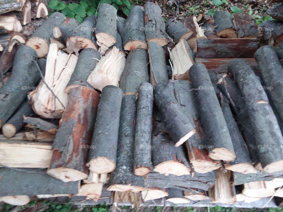 pile of hickory firewood