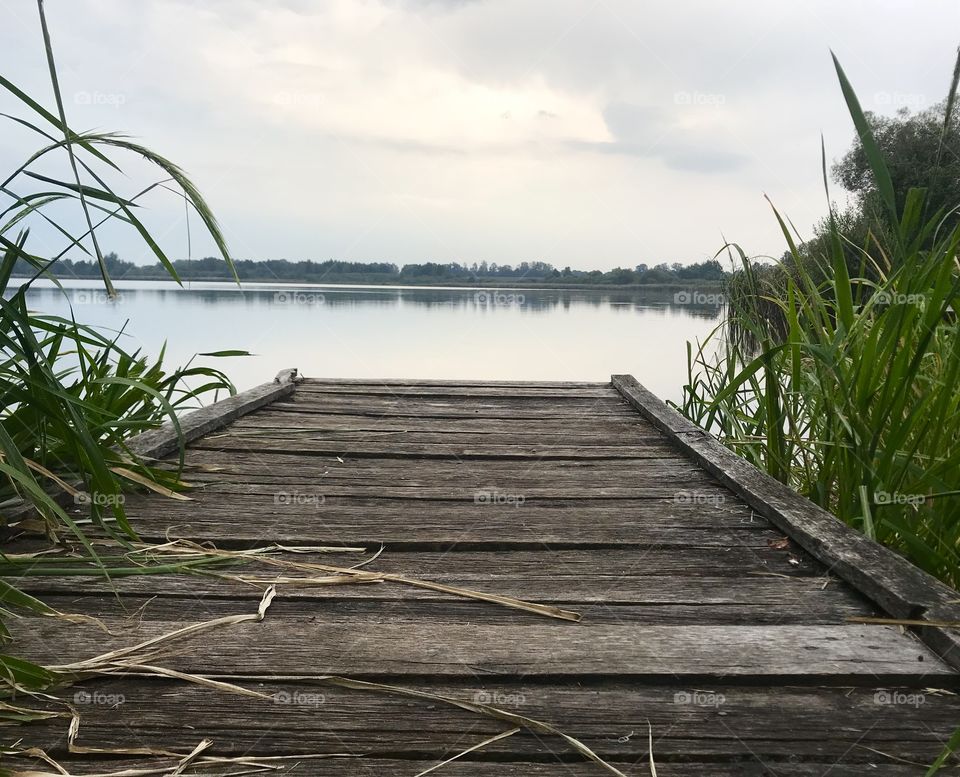 Wooden boardwalk with reeds