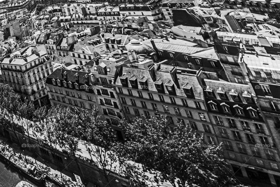 Roofs black and White from Nôtre Dame 
