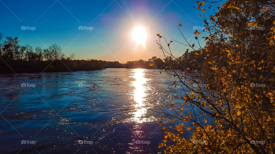 Sunset, Dawn, Sun, No Person, Tree