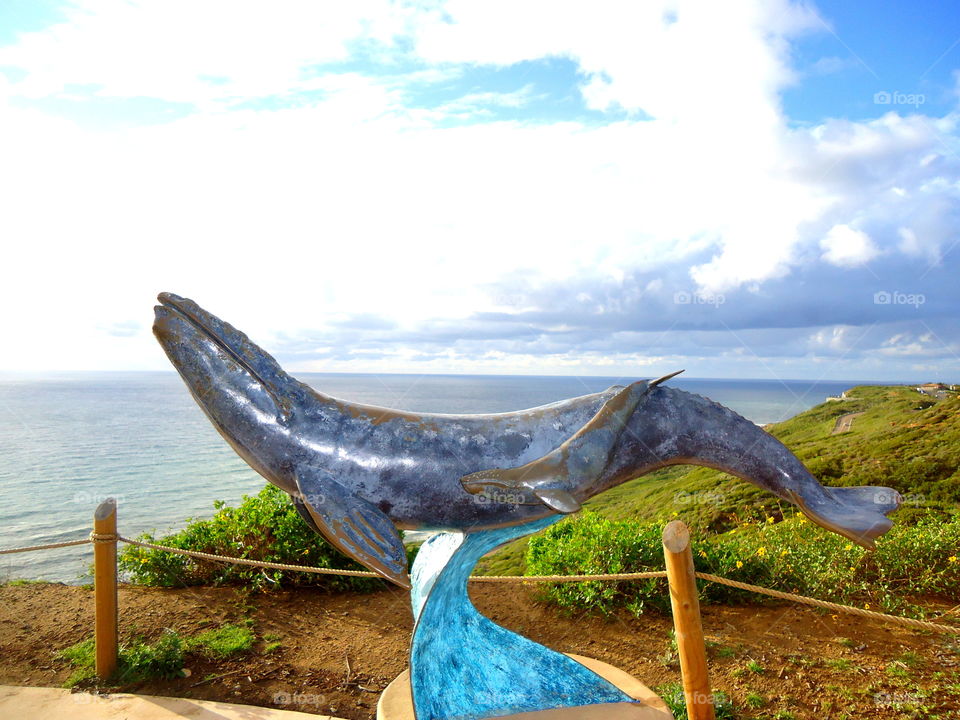 Whale sculpture