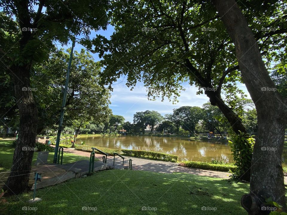 Situ Lembang Park, Central Jakarta, can be an alternative free tourist spot to visit.
Its strategic location is in the middle of Jakarta, making Situ Lembang Park quite easy to find