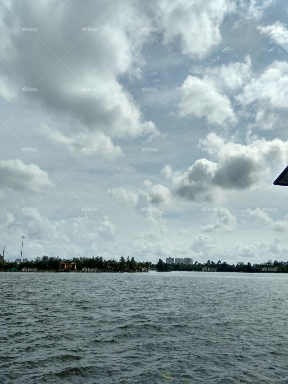 Rainy Days for nature