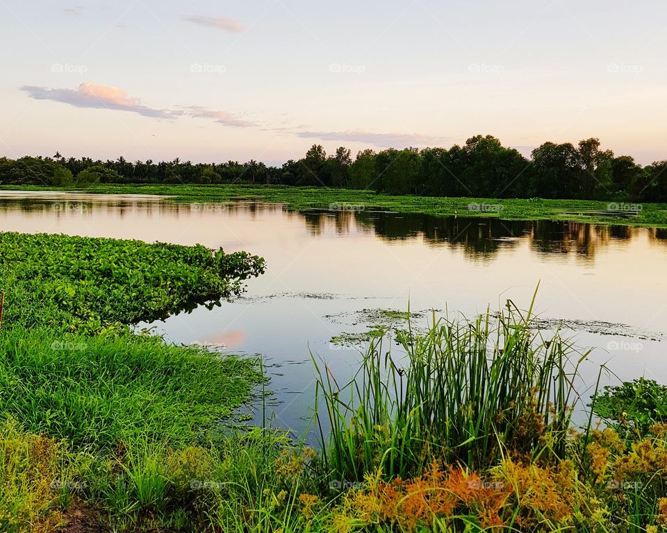 Scenic view of pond against sky