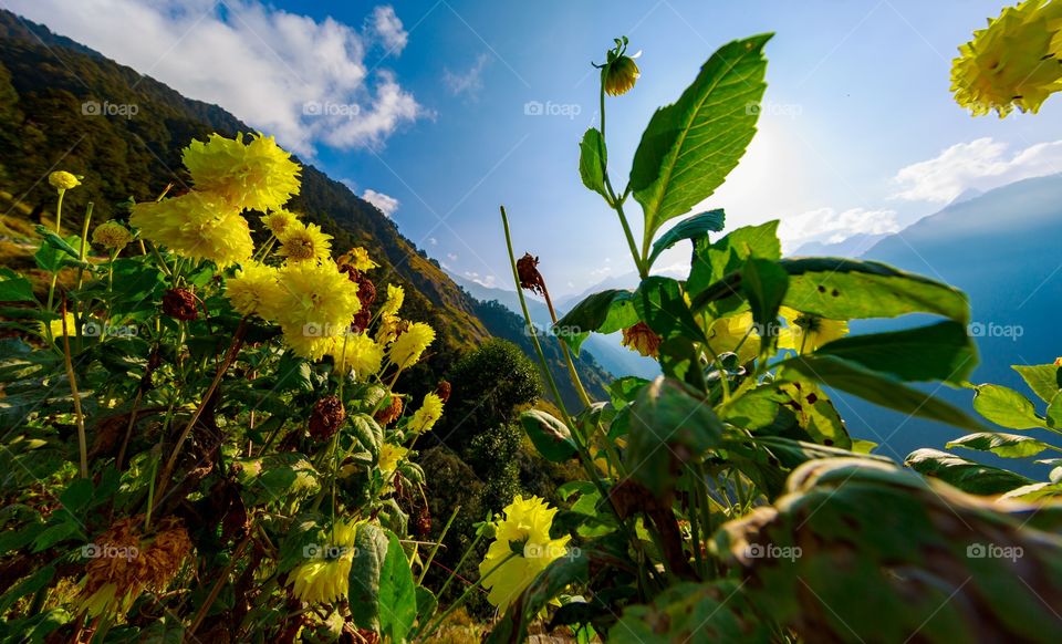 it's spring time on the mountains