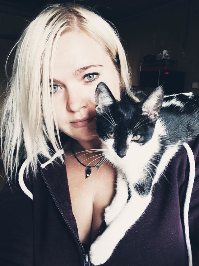 cat