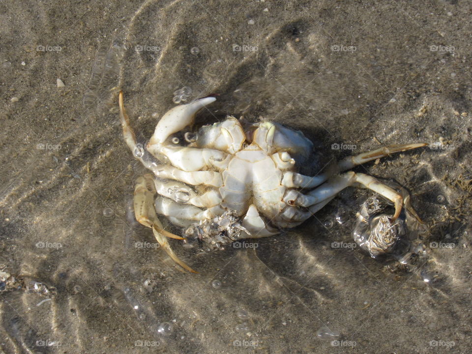 At the seaside