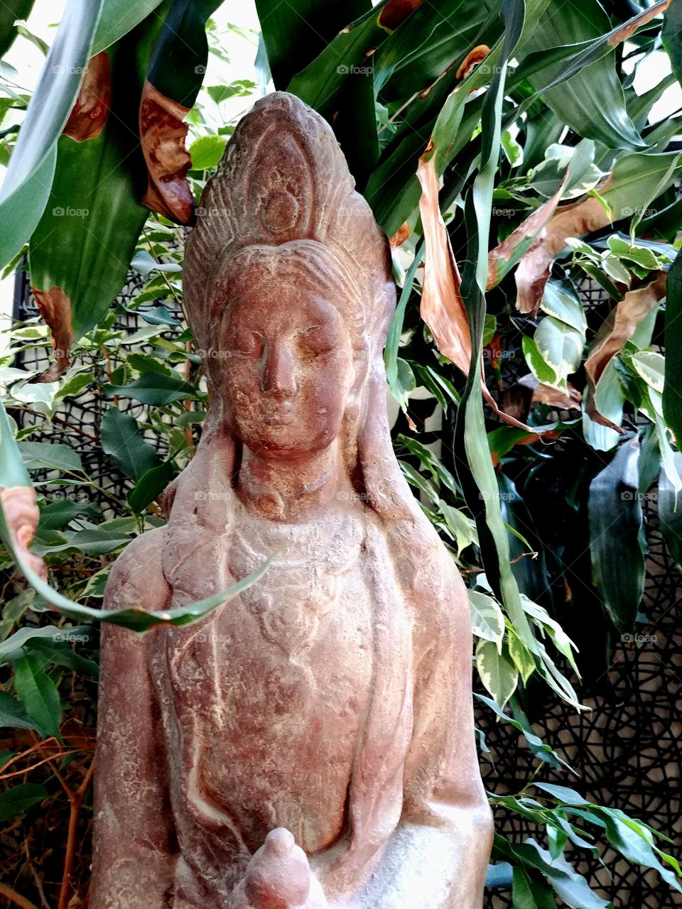 This statue is intended to give people a sense of peace and calmness. I love the surrounding foliage.