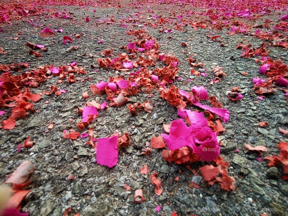 Firecrackers everywhere