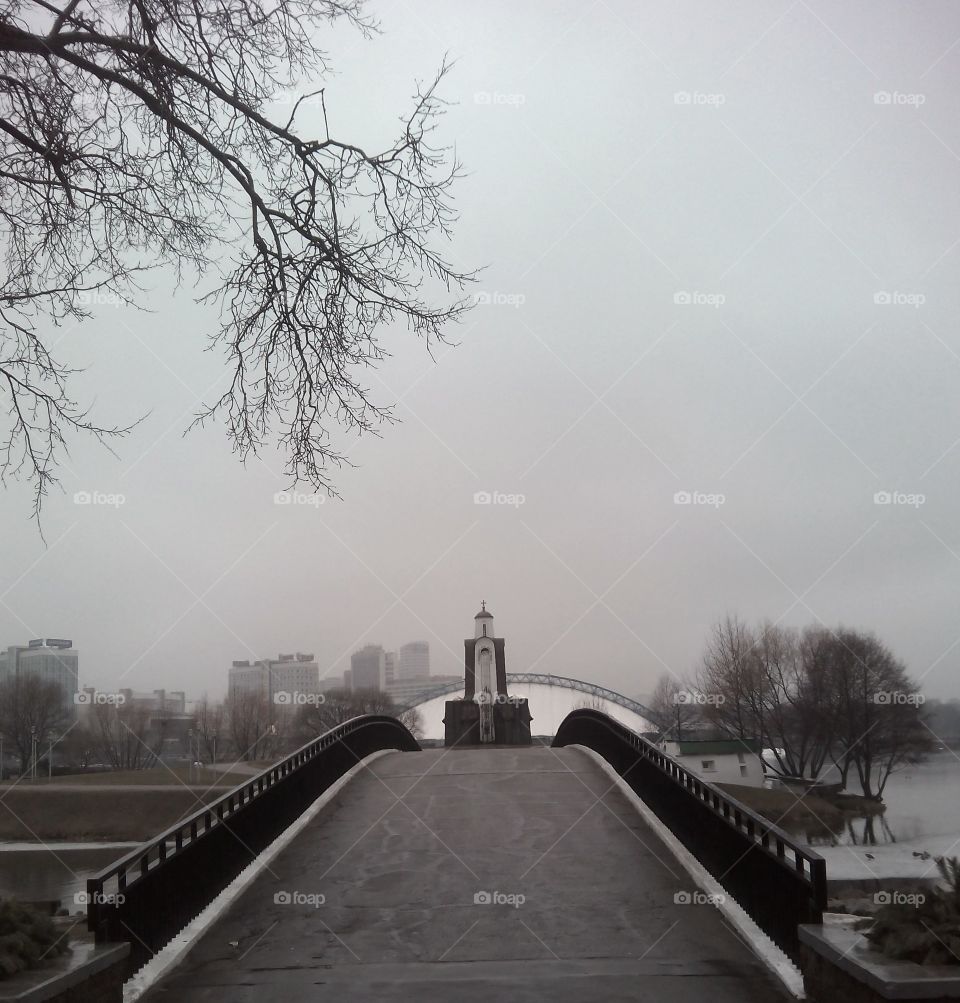 Fog, Tree, Road, Street, Dawn