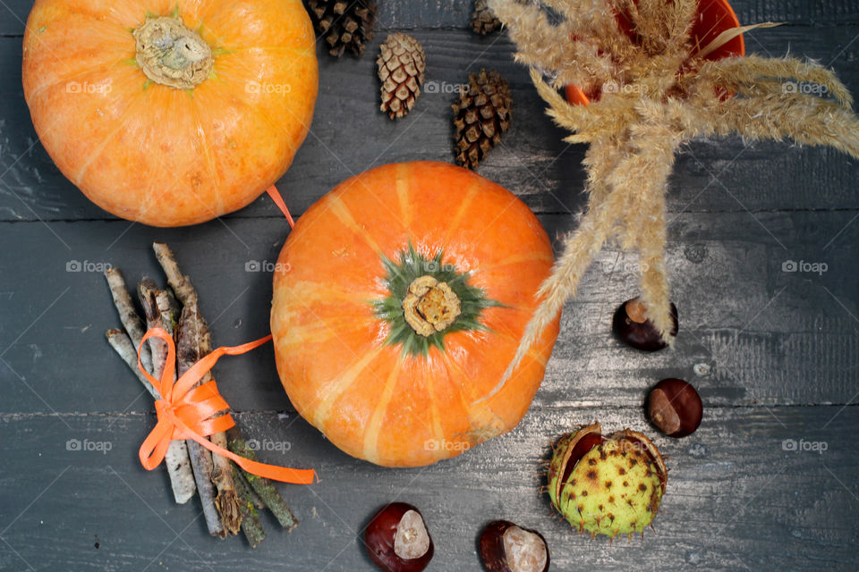 Vegetables, Halloween, pumpkin, corn, harvest, fertility, agriculture, food, cones, forest, birch branches