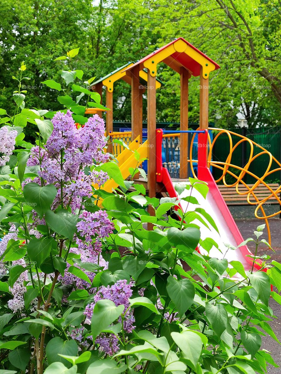 Children's playground in the courtyard of the house.  In the foreground is a blooming lilac, behind which stands a children's slide