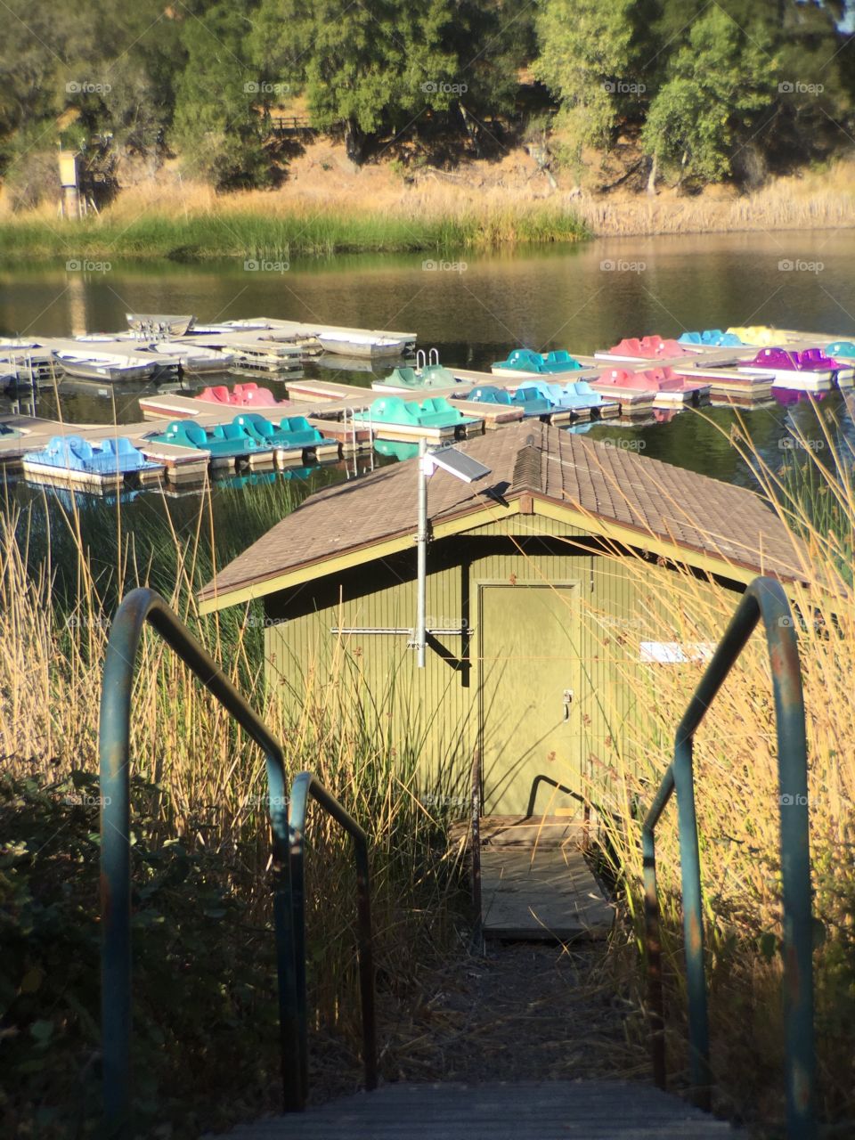 Lake in park 