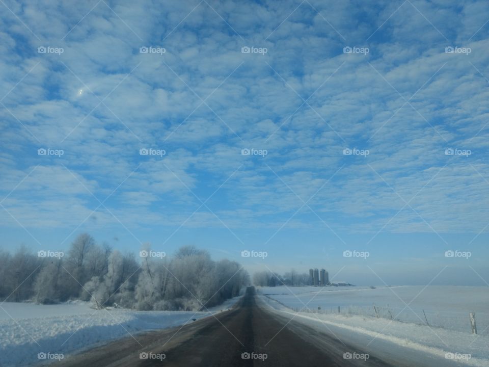 Snow, Winter, Ice, Cold, Frost